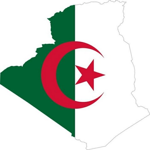 حكومة جديدة بالجزائر من 27 وزيراً  